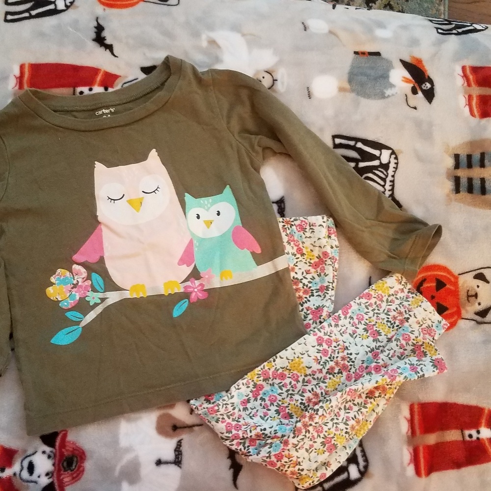 Carters outfit. 24 months. Cute glittery owls.